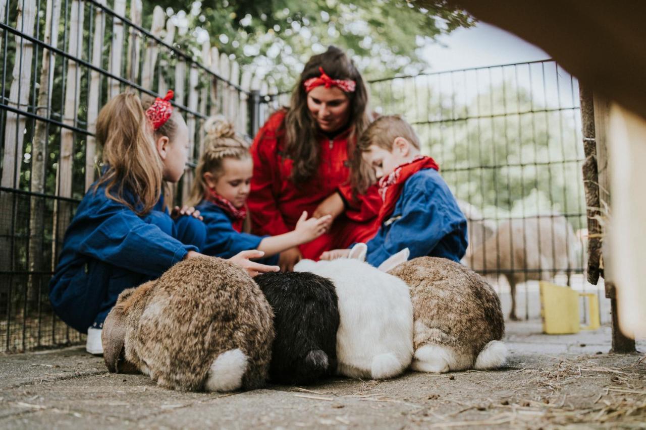 Vakantiepark Dierenbos Vinkel Esterno foto